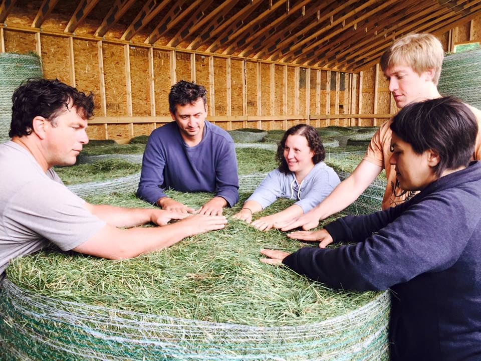 Vermont: Land of Cheese, Promise and HAY