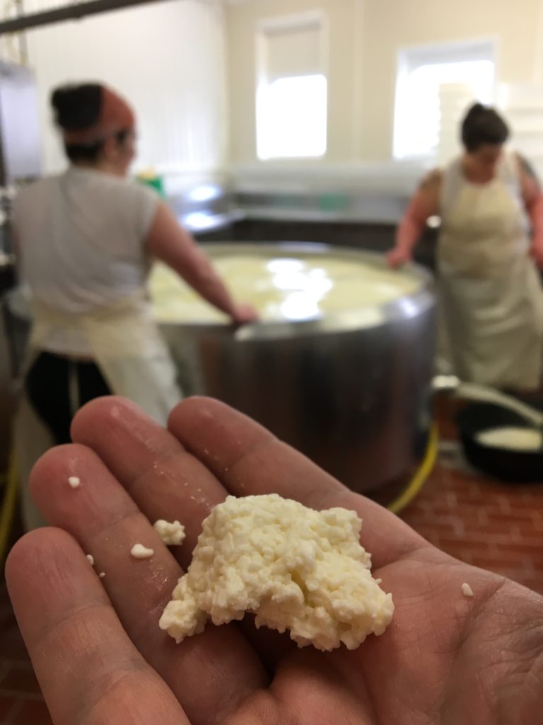 consider bardwell farm barden blue cheese barn cheesemaking cheese curd