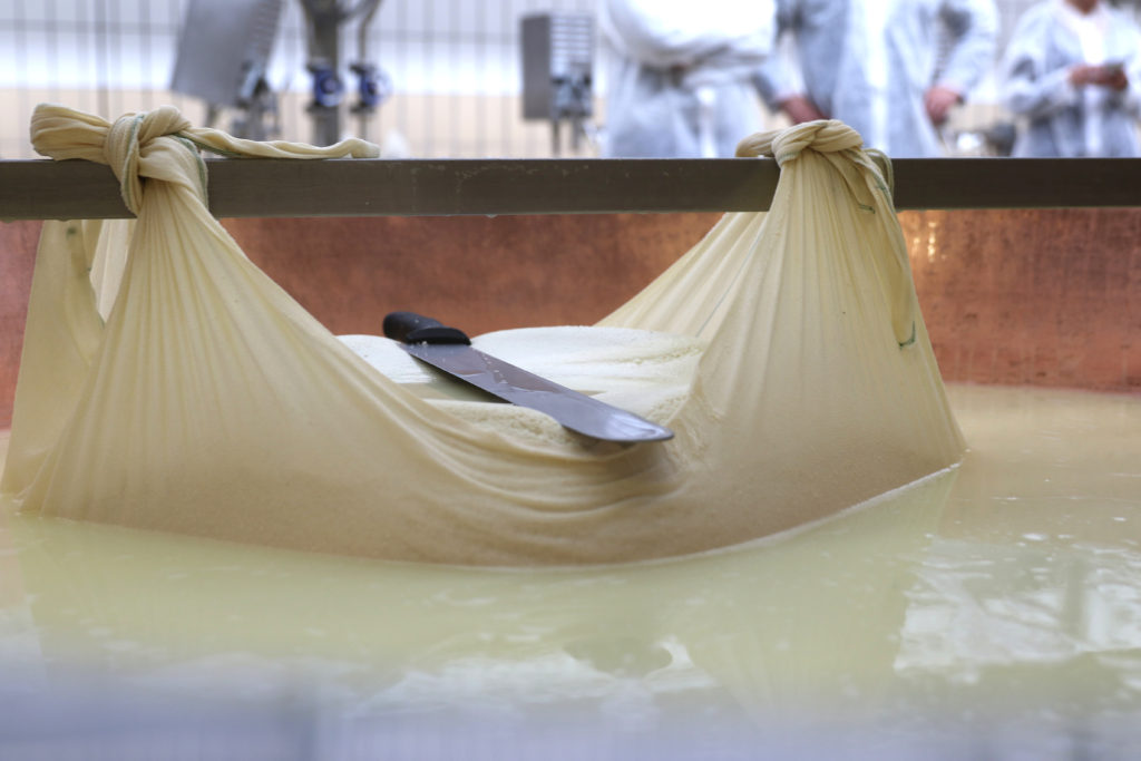 italy parmigiano reggiano milk cheese making italy