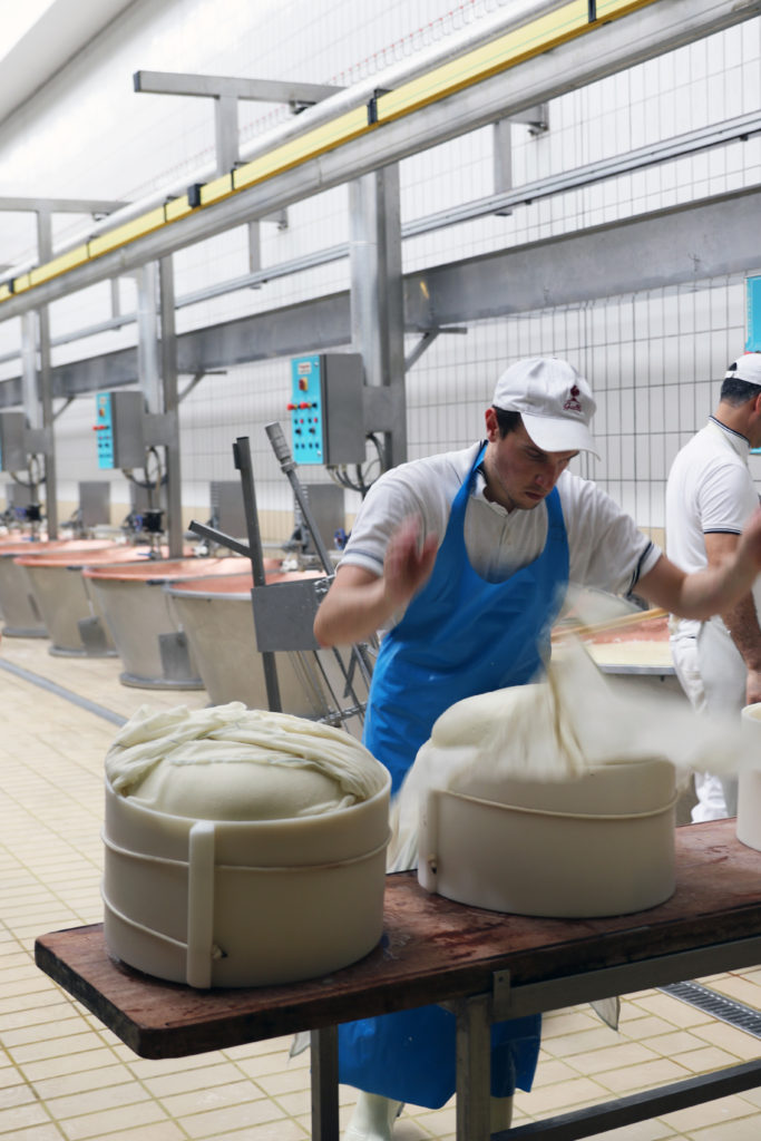 italy parmigiano reggiano milk cheese making italy