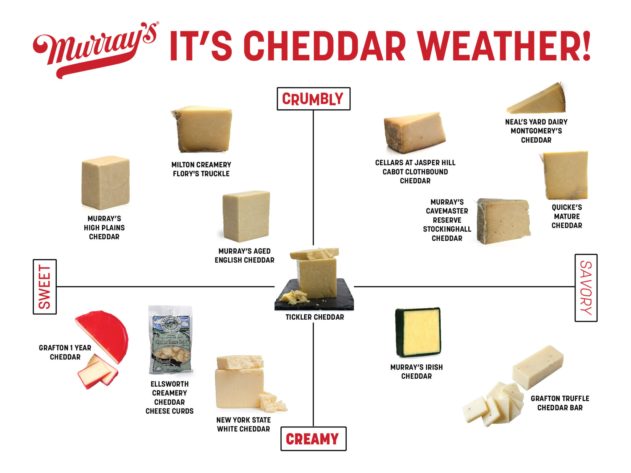 All About Cheddar: The Ultimate Guide to Cheddar Types | Murray's ...